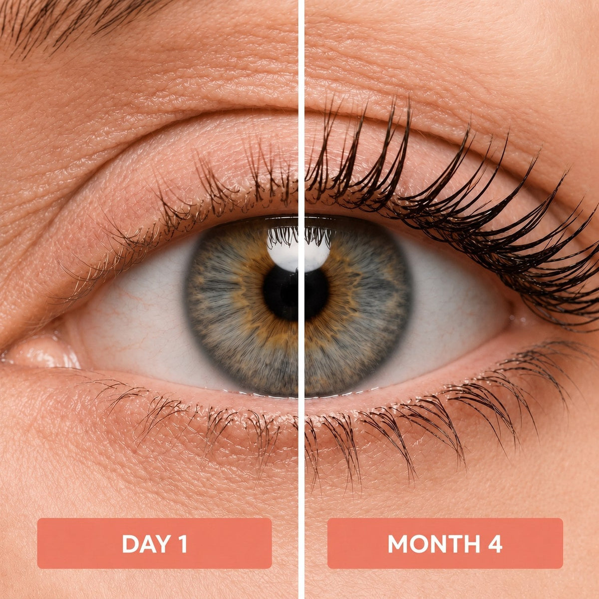 Lash progress over the weeks with Blushlay Mascara